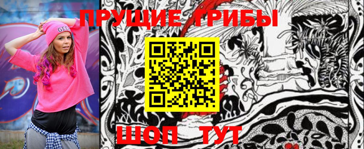 Псилоцибиновые грибы Cubensis Ирбит